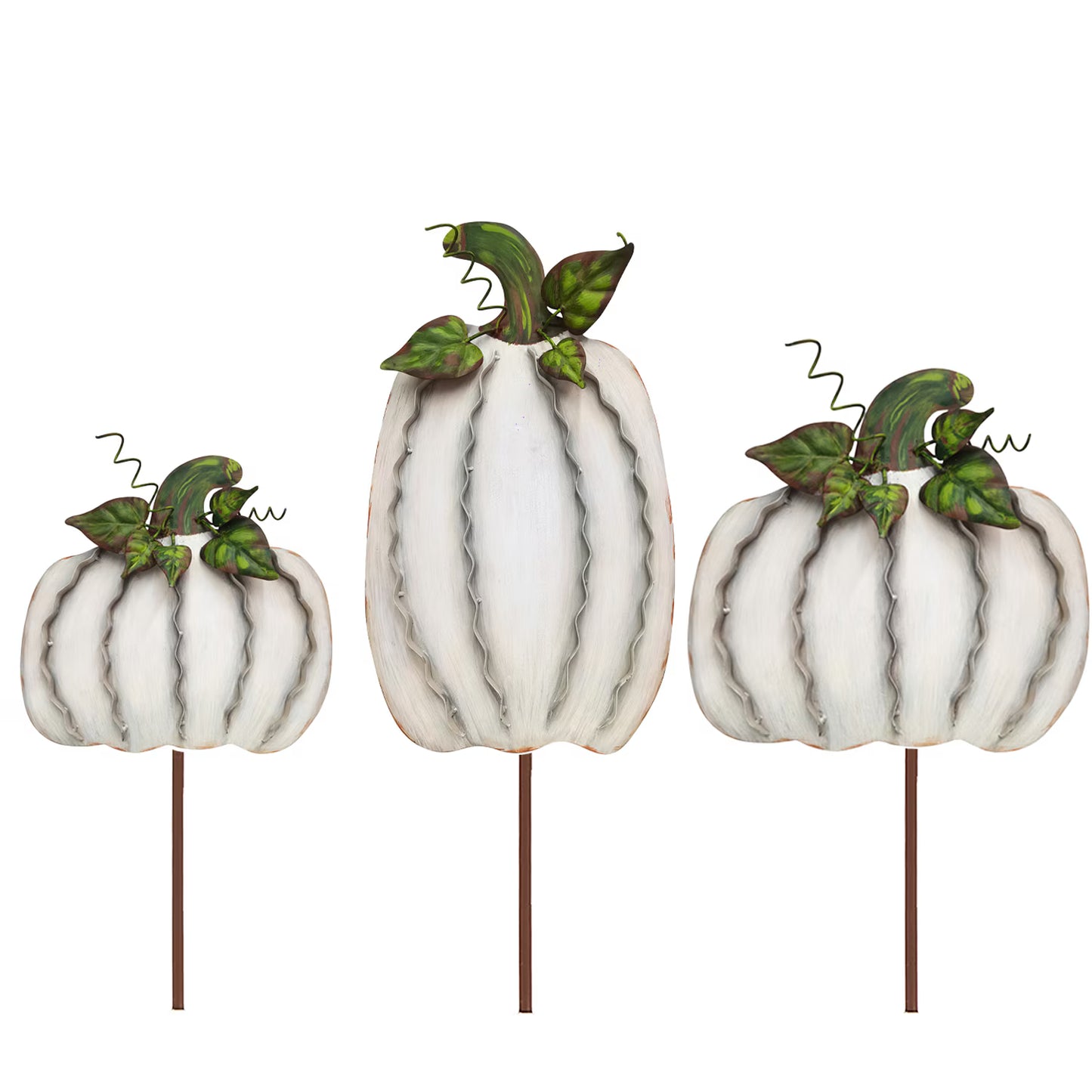 Ribbon Pumpkins Cream | Medium