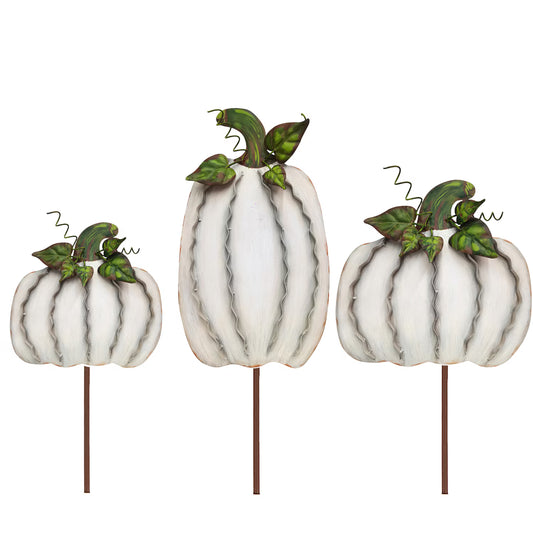Ribbon Pumpkins Cream | Medium