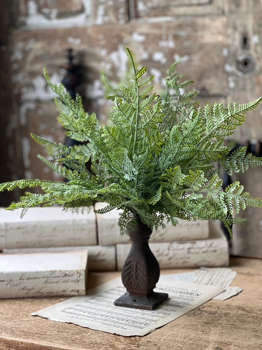 Ruffian Fern Bush | 16"