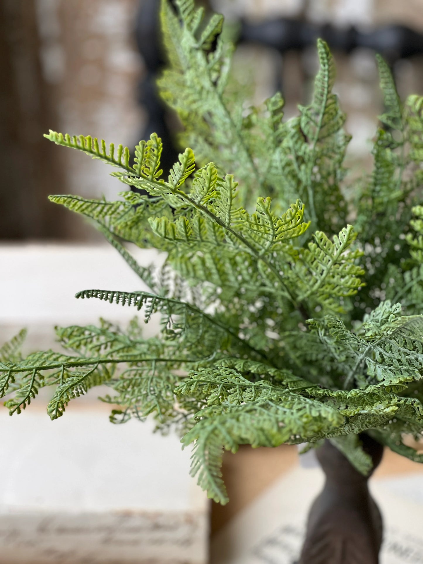 Ruffian Fern Bush | 16"