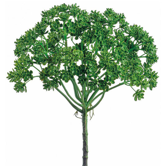 Sedum Bush | 12.5"