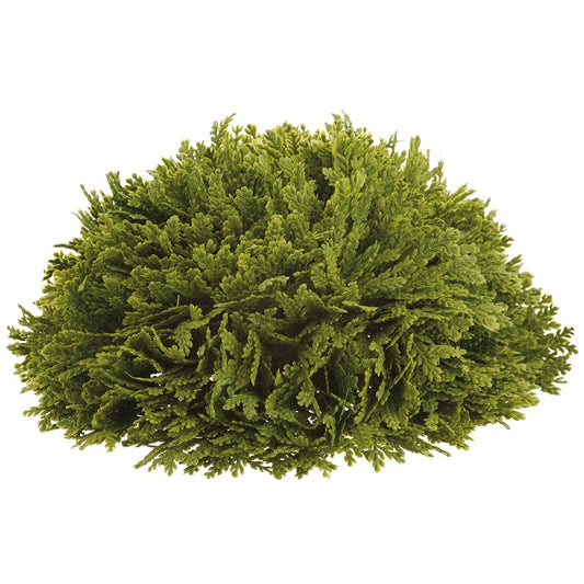 Spike Moss Half Sphere | 9"