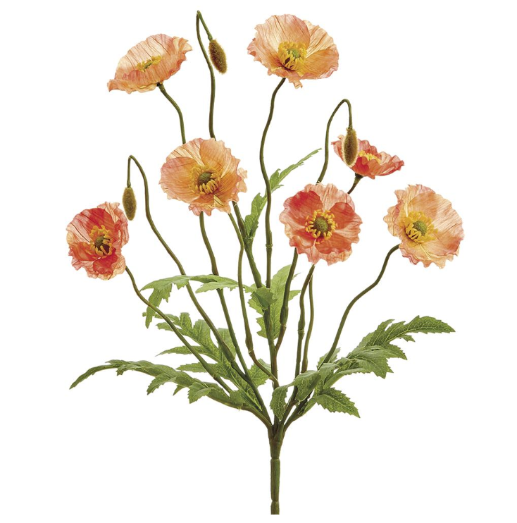 Poppy Bush | 15"
