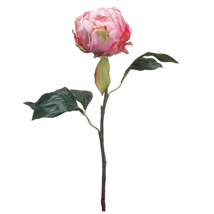 Peony Bud Spray | 18"