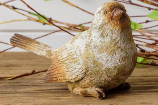 Natural Weathered Birds