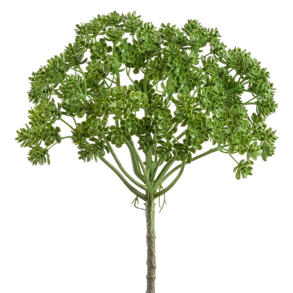 Sedum Bush | 12.5"