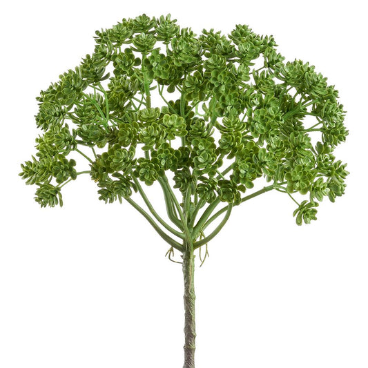 Sedum Bush | 12.5"
