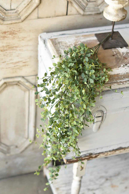 Seraph Vine Hanging Bush | 34"
