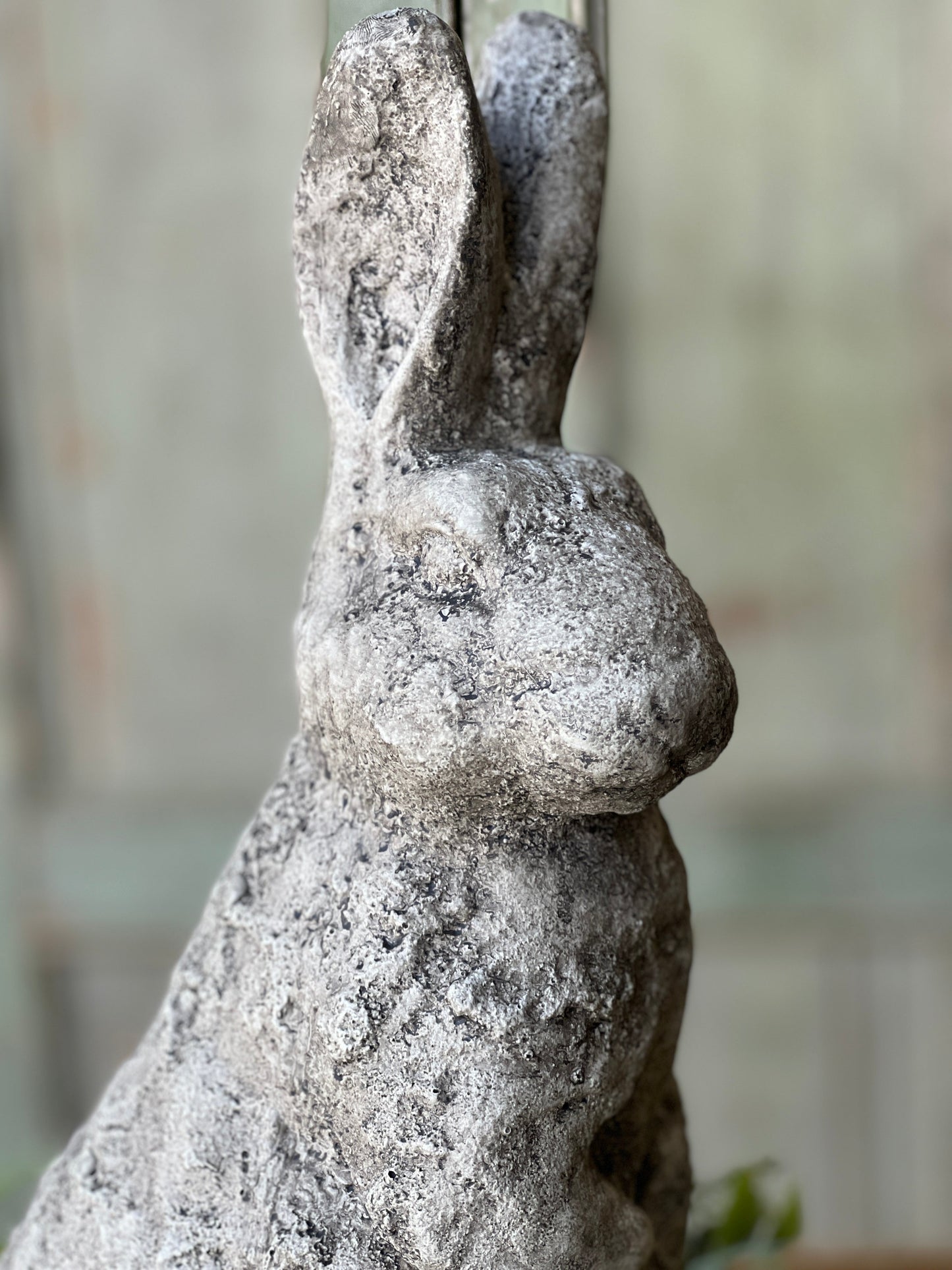 Standing Rabbit