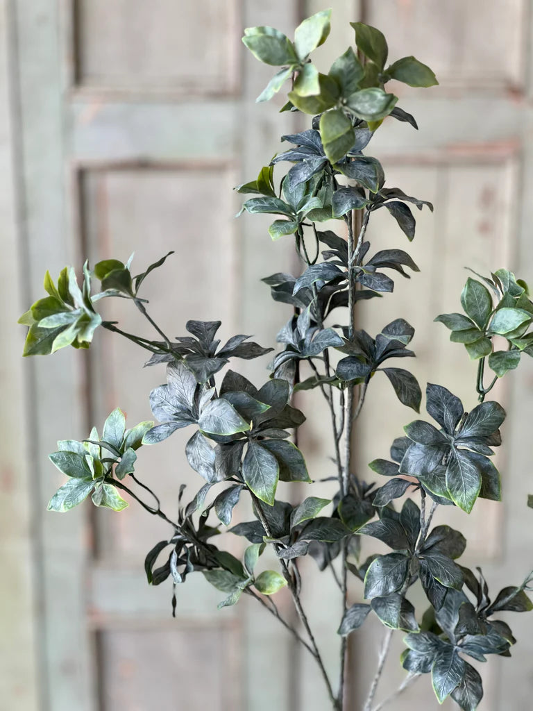 Suffolk Leaves Spray | 40"