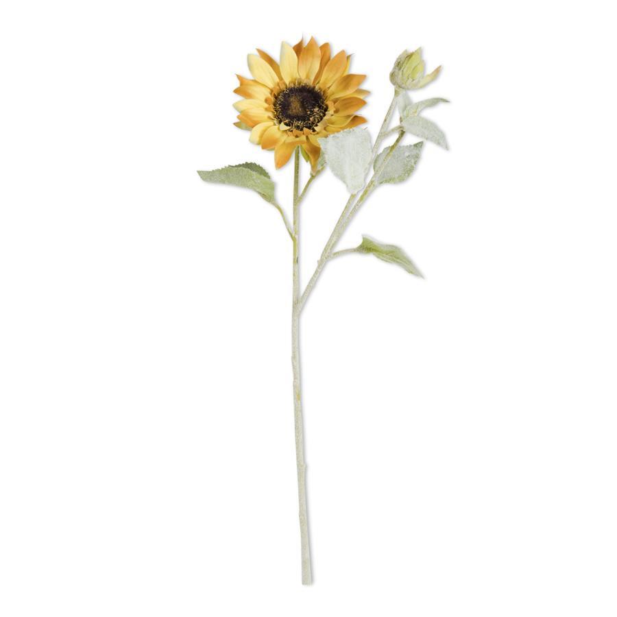 Tone Bloom & Blossom Sunflower