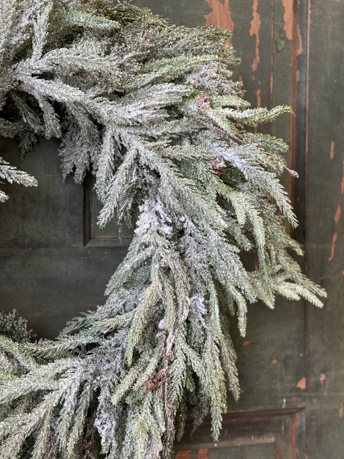Snowdrift Norfolk Pine Wreath | 24"