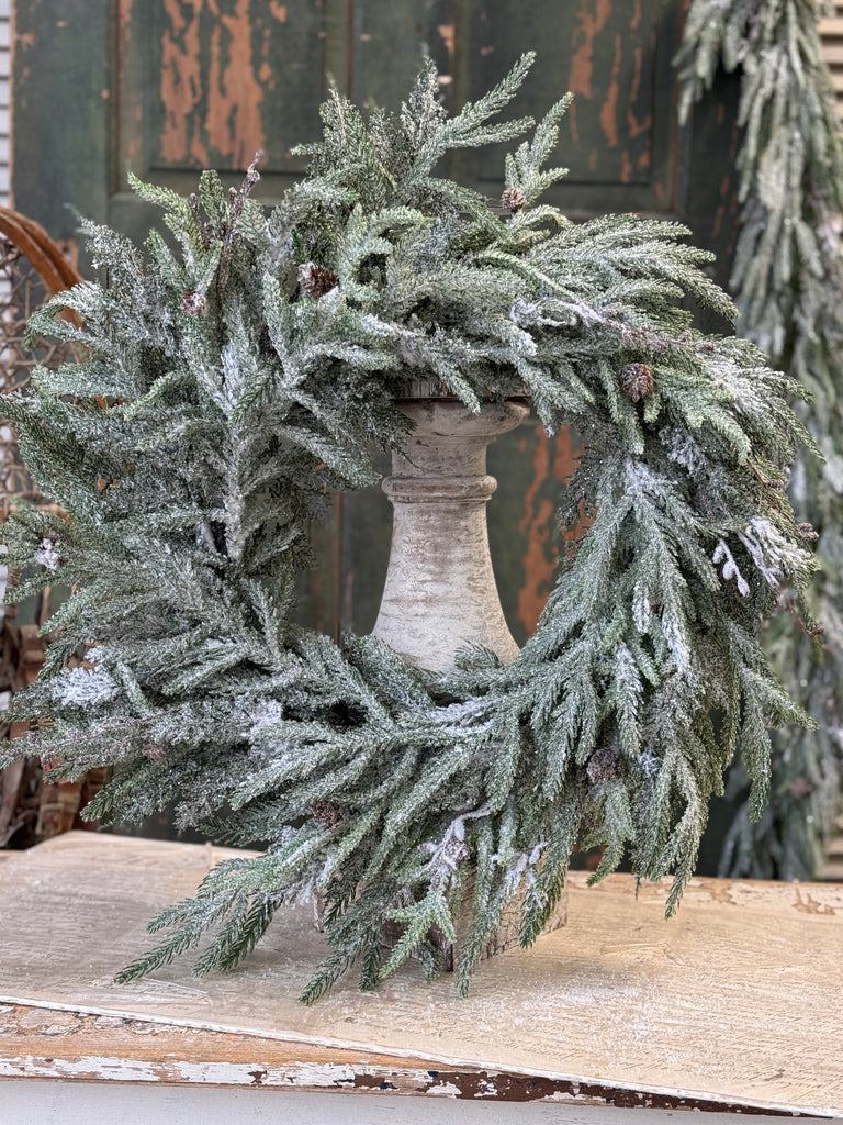 Snowdrift Norfolk Pine Wreath | 24"