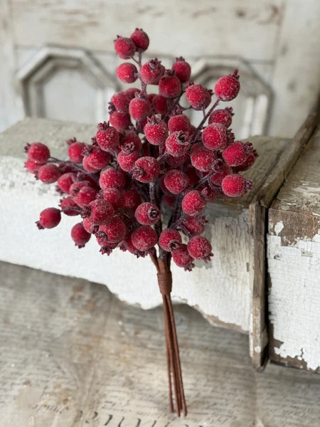 Iced Everberry Bundle | 18"