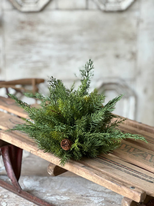 Telluride Spruce Half Sphere | 11"