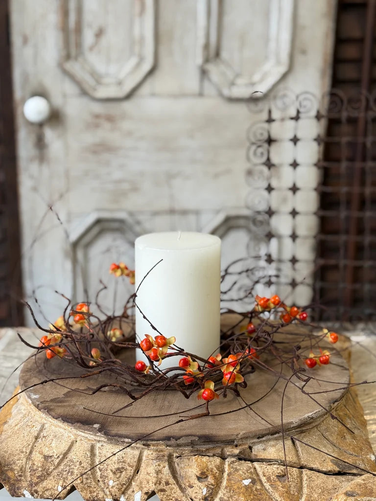 Wild Vine Bittersweet Candle Ring | 16”