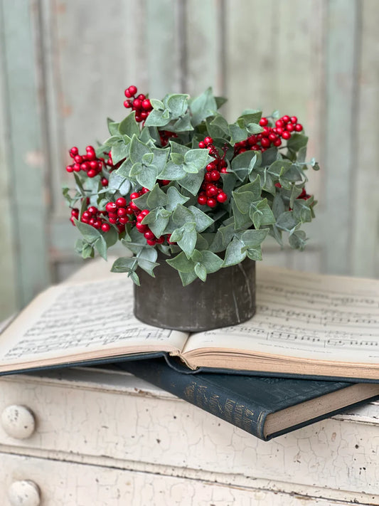 Yuletide Eucalyptus Half Sphere