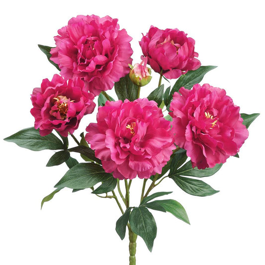 Peony Bush | 18"