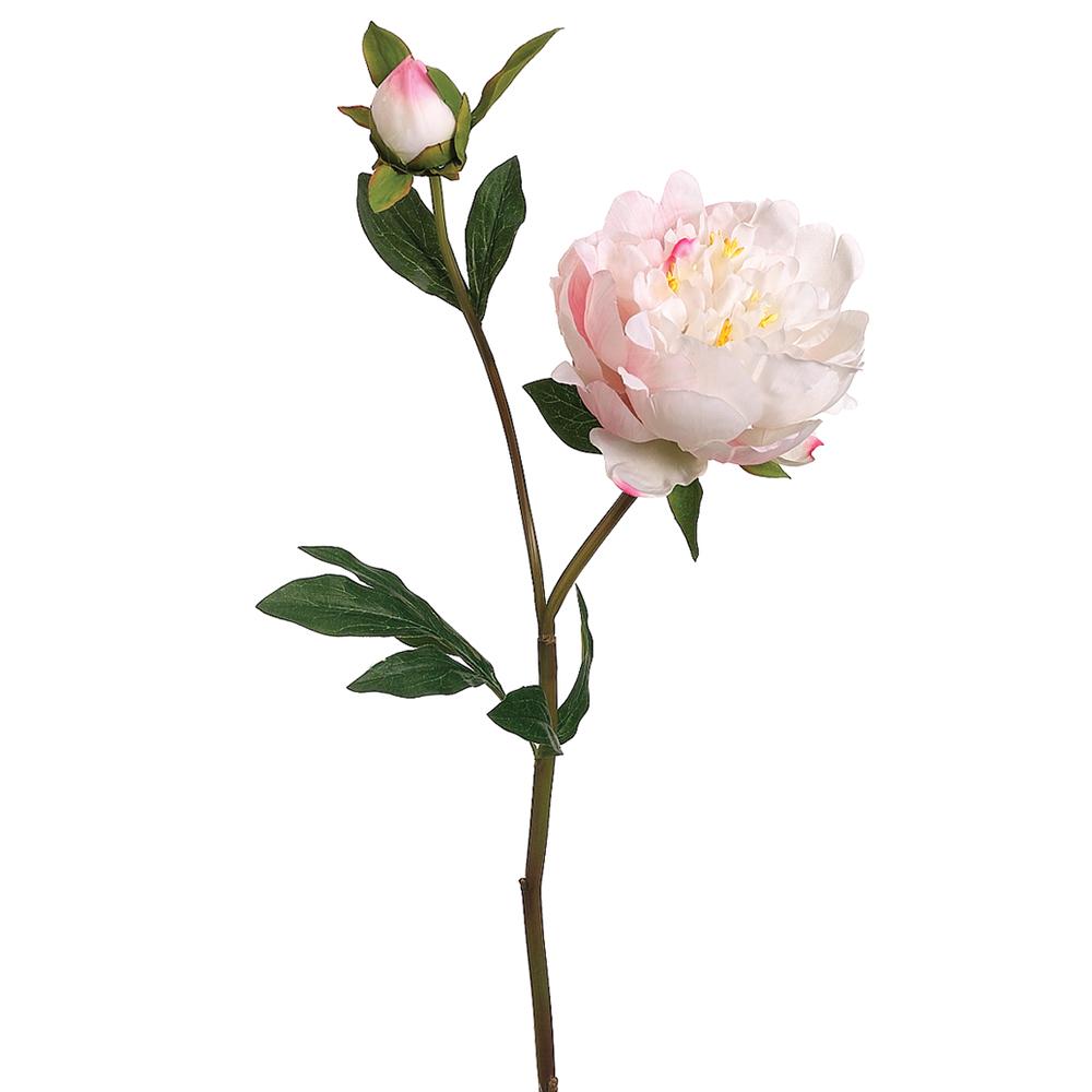 Peony Spray w/Bud | 25"