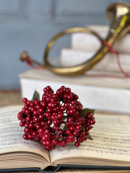 Cherish Berry Pick