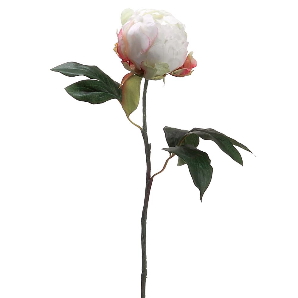 Peony Bud Spray | 18"