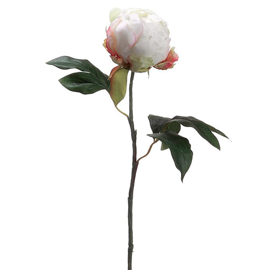 Peony Bud Spray | 18"